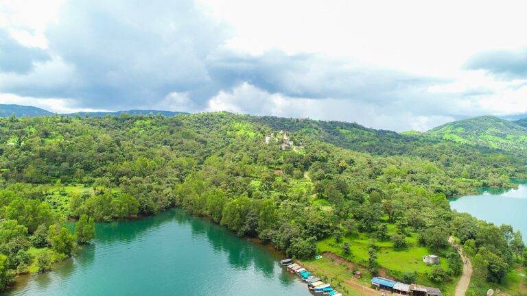 The Role of Criminal Justice Reform in Shaping Election Campaigns