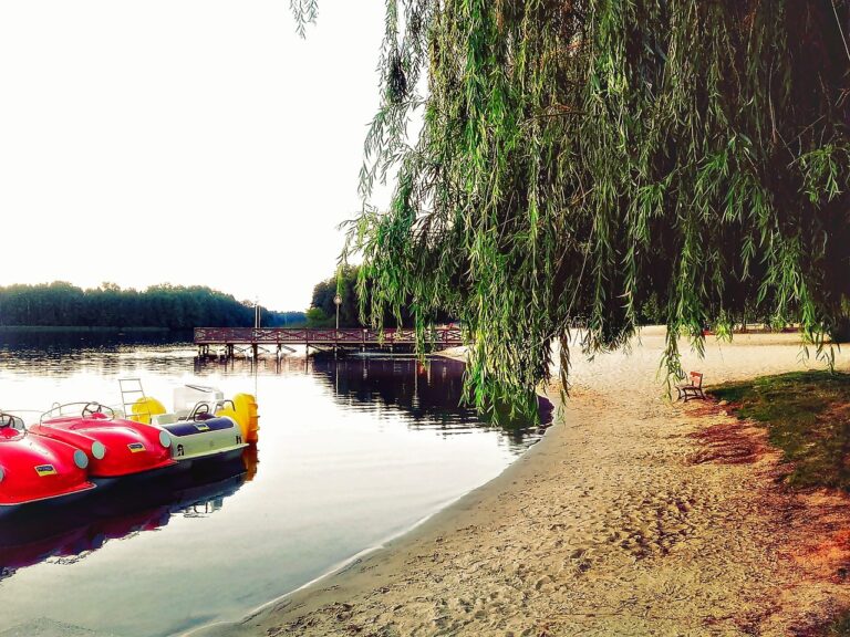 The Impact of Auto Industry Trends on Dealership Business Models