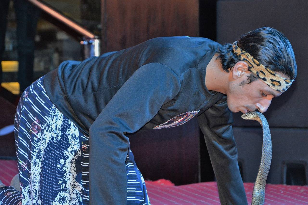 The Impact of Artificial Intelligence on Ticket Sales and Audience Targeting