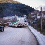 The Evolution of Car Transmission Systems: From Manual to Automatic to CVT